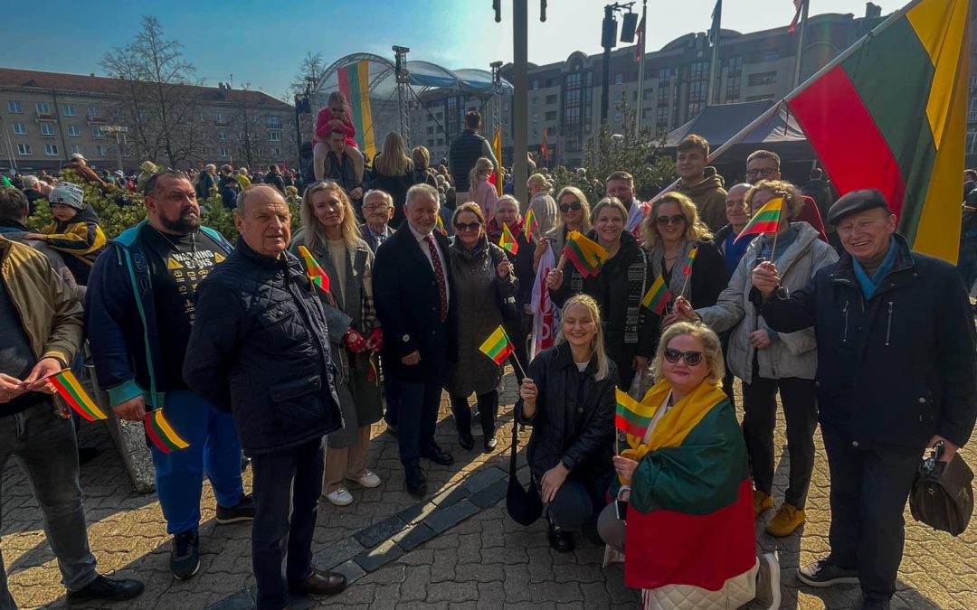 Socialdemokratai dalyvavo Kovo 11 eitynėse